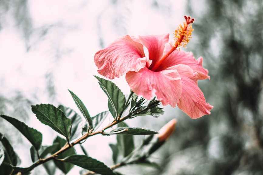 财产|父母偏心,生病后把财产全给小儿子,大儿子认栽养老也让弟弟来