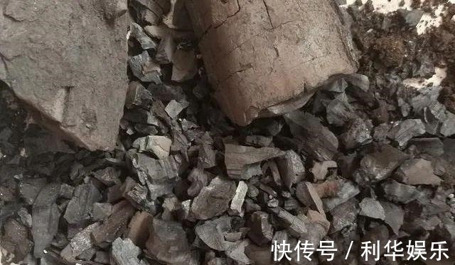 排水性|君子兰的土里掺点“它”,10年不烂根,越长越壮实