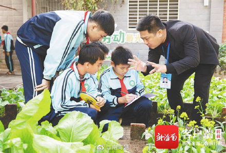 海南中小学|海南中小学课后服务如何收费？“官方带娃”有了补贴标准