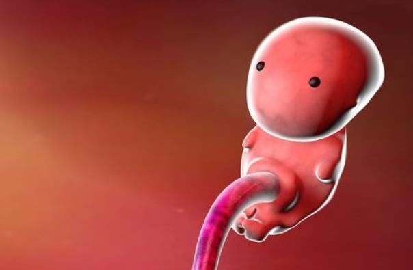 智力|胎宝待在妈妈肚子里10个月,但只在这3周发育智力,孕妈别错过