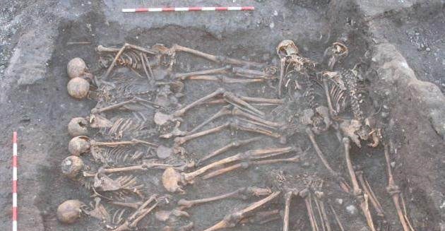 揭秘如何通过骨头分辨男女,考古系的女生都要亲手摸