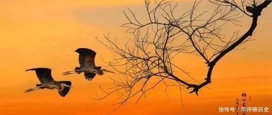  陈伟红|签约作家陈伟红随笔/落雨的早晨