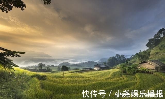 金牛座|2周后,桃花入命,一见钟情,3星座爱到刻骨铭心,续写今生痴缠