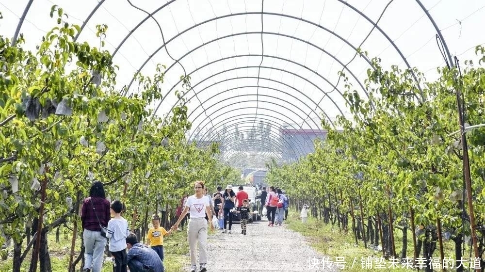 农民|安排上了!让昌平乡村更美,农民更富