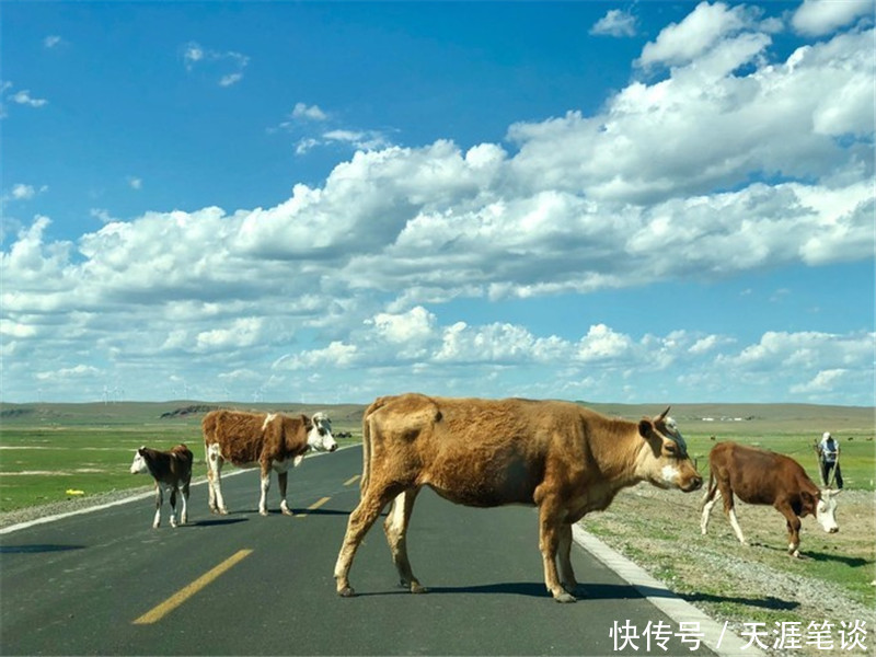 走进|走进草原，门可罗雀达达线，国道收费很败兴