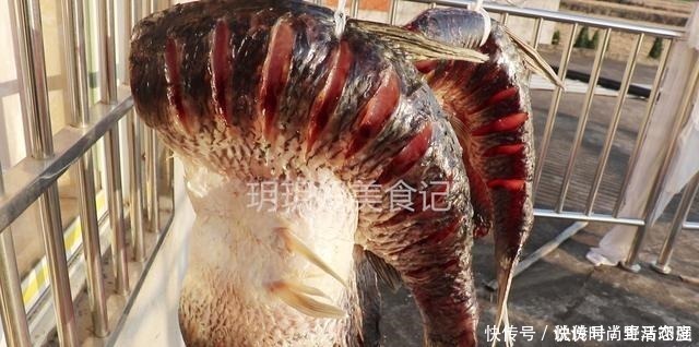 教你正宗腌腊鱼的方法,配料简单味道足,保存时间越长吃起来越香