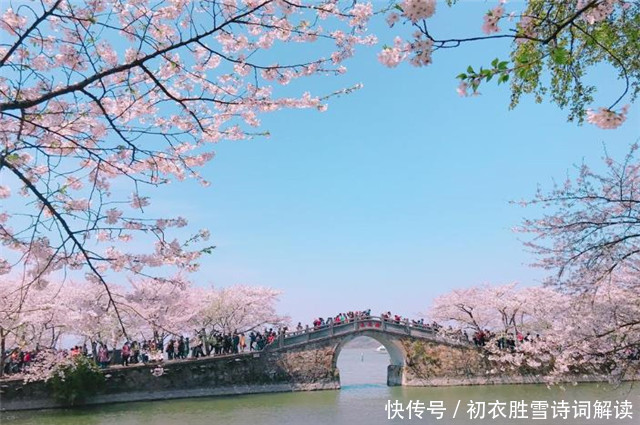 春雨楼头曼殊诗，眼前樱花雨，心里浙江潮