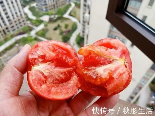 西双版纳|这晚餐绝了，连盐也不加，难怪人到40还穿S码！问你服不服？