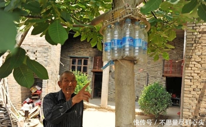 神器|八十岁老人做防偷神器, 核桃再没丢过, 网友: 爷爷还是厉害