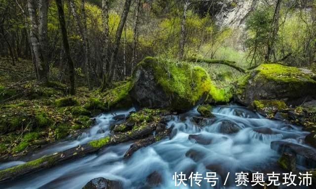 海子|「松坪沟」青山绿水避暑纳凉