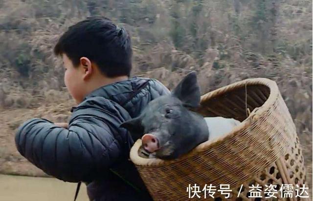 杜华对儿子太狠，送完《变形计》又送少林寺，穿山寨成最惨太子爷