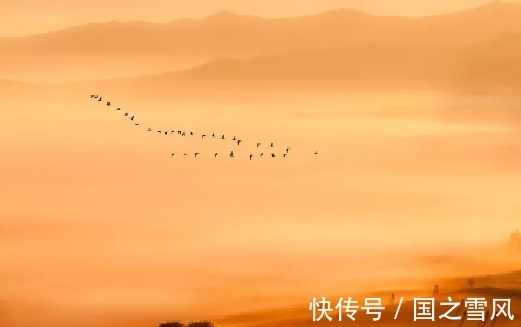 儒家学说!刘禹锡送别高僧,谱写了一首佳作,见解深刻,读了三遍才能体悟