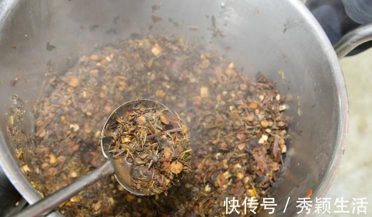 秦艽|小药方,大疗效不想受“肩周炎”折磨,这些方子请收好