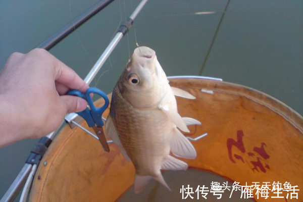小子线中的大学问钩间距的大小，影响着你的中鱼率！