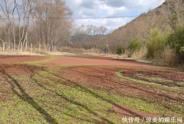 昆明走进自然户外｜乐走牧羊河上段，邂逅甸头村湿地，惊喜连连