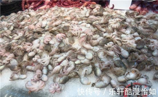 海鲜|渔民从不吃的两种海鲜,寄生虫“扎堆”,重金属超标,难吃还贵