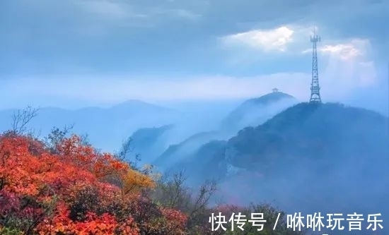 青天河景区|青天河｜金秋时节，来这座“红叶王国”感受那“枫”情万种的美！