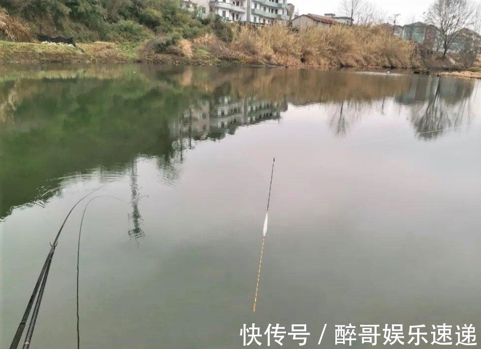 铅皮|秋末冬初野钓鱼口不好,采用这种钓法,鱼获满满