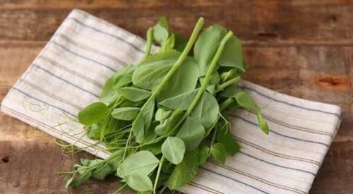 维生素想长寿全靠吃,3种食物不错过,排毒养颜,提高免疫力!