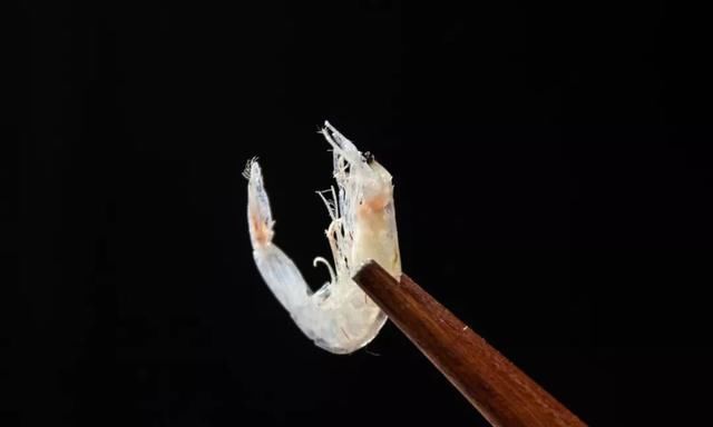 虾皮你还在吃吗我也是今天刚知道的,抓紧提醒家里人还不迟