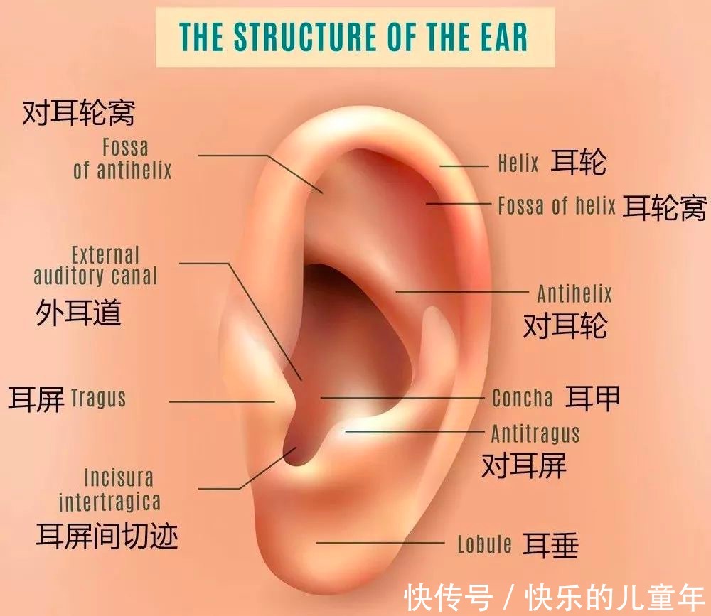 睡前顺手做1件事，养肾助眠比泡脚还管用！简单几分钟全身都受益