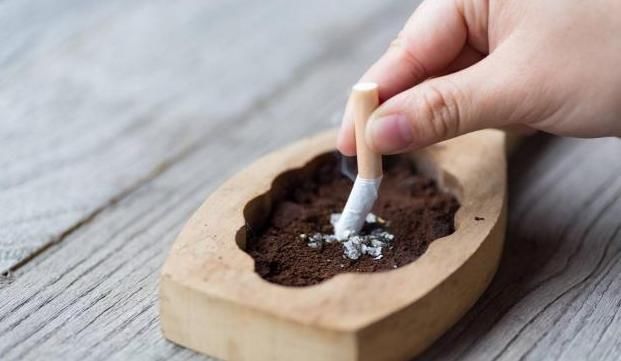 男性|男性寿命较长,多半会有4大“共性”,只占一个也值得高兴