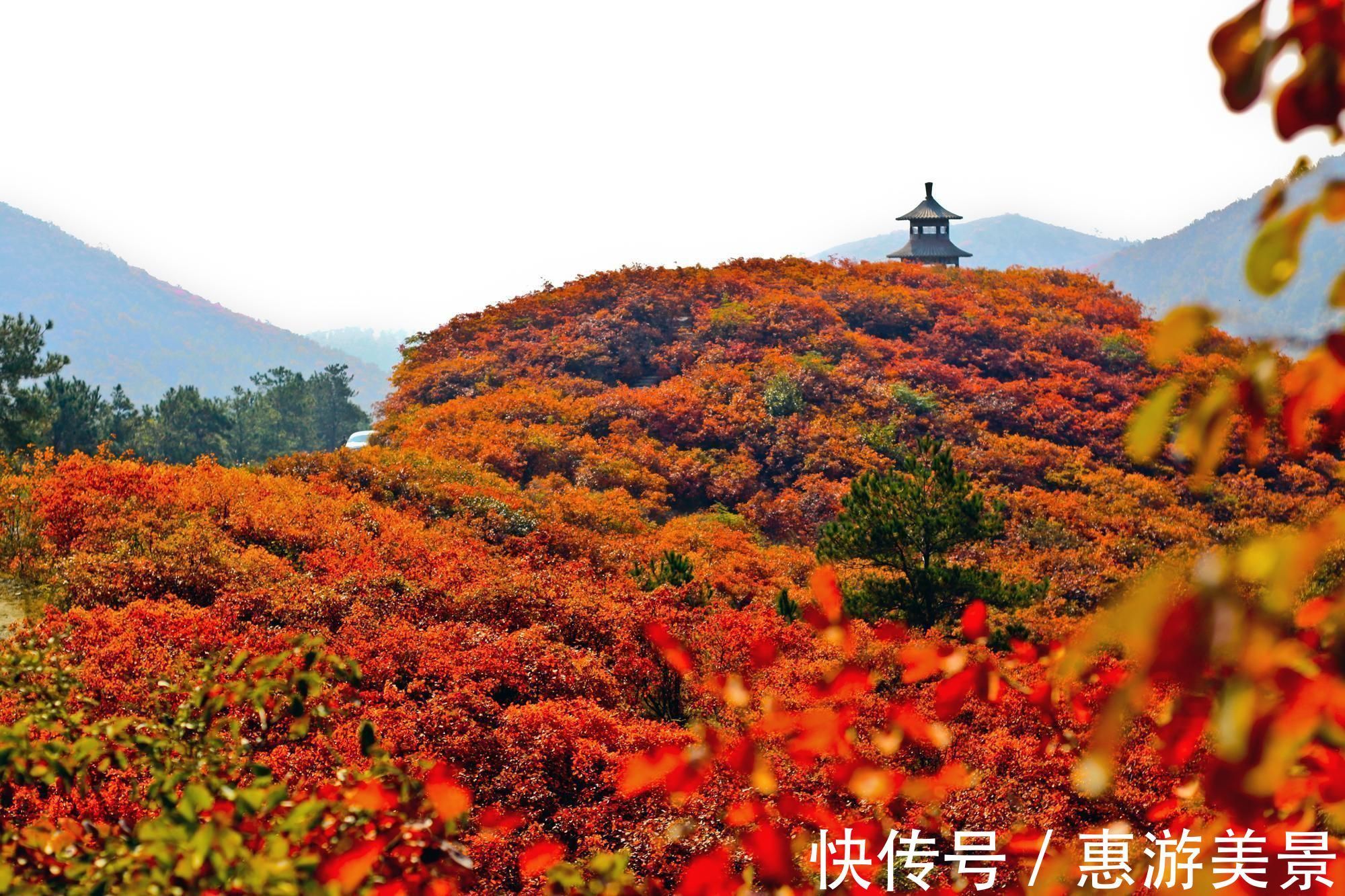 旅游|河南秋季旅游景点推荐 黄岗红叶园旅游攻略 低音号免费语音导游