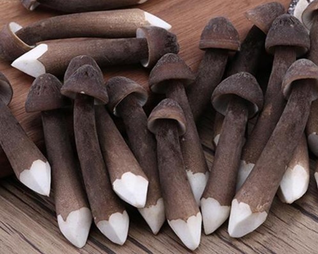 微量元素|人到中年不管有钱没钱,建议常吃5种食物,营养美味,比保健品强