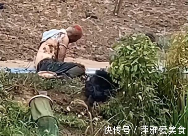 钓鱼|江苏连续发生钓鱼触碰高压电,不幸触电,野钓这几种渔具要当心