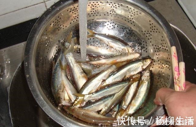 给鱼解冻，水里放醋还是放盐泡都不对！只需一招，鱼肉嫩还不腥