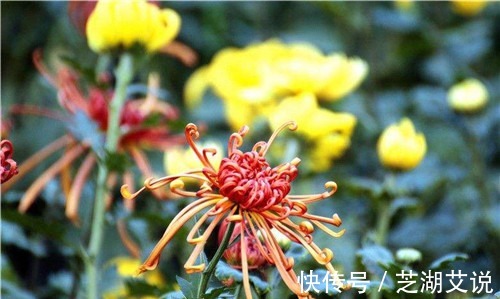 大文豪|王安石为教训苏轼出一上联,看似平淡却成千古绝对,至今仍未对出