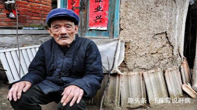 紫苏|农村一种“养肝宝”，78岁老人用它泡水喝，肝好、人长寿