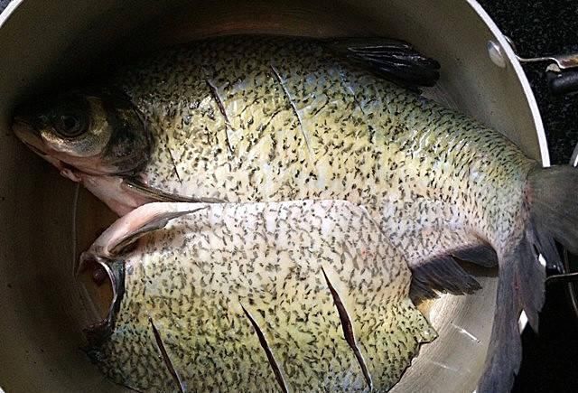 炖鱼不要再用料酒去腥,用它炖,鱼肉鲜嫩不腥,汤汁香浓,3斤鱼不够吃