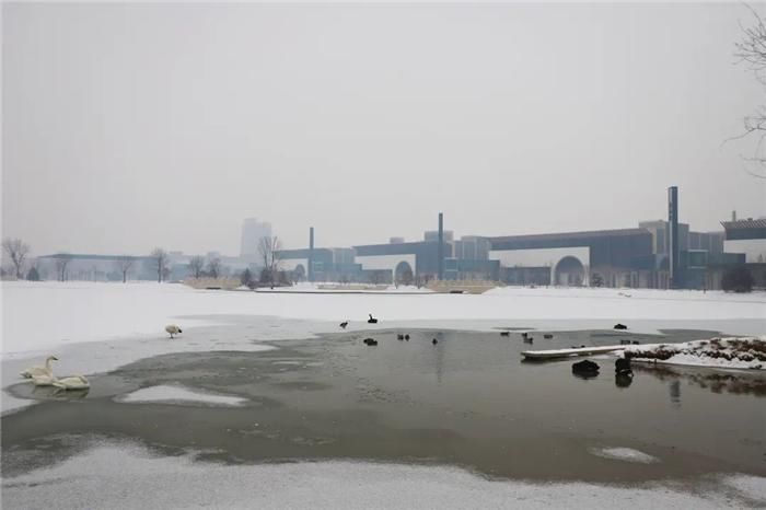 中年|东阿阿胶迎来新年第一场雪