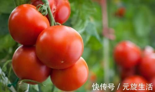 净化|血管堵了不用慌, 每天吃点“它”, 帮你净化血管, 清走血栓