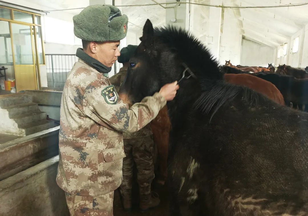 人来自|-38℃，骑马的兵哥哥真帅！