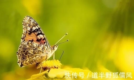 有心机|4天以后，命中带喜，不再错过，旧爱转身，雨过天晴，旧爱不再来