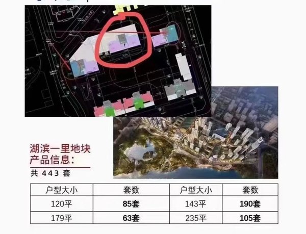 湖滨|建发岛内三盘与港务合作开发 湖滨一里、保利国贸天琴购房门槛曝光