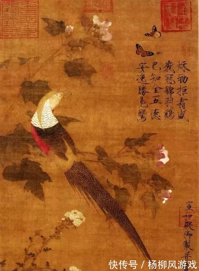 花鸟画@精细入微,看清一根根羽毛!赵佶花鸟画