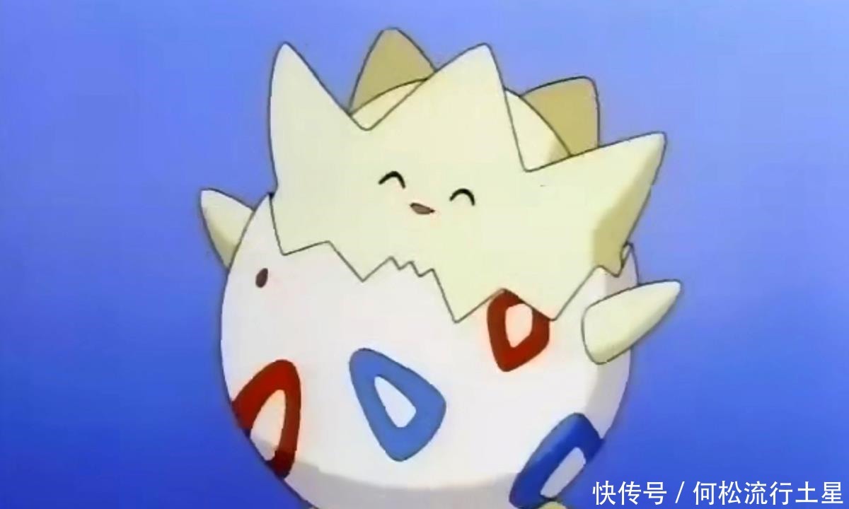 波克基古|《宝可梦》动画第一颗精灵蛋备受呵护的波克比,小霞捡了大便宜