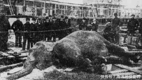 历史|如果你认为爱迪生是个伟大的发明家,那说明你不了解他的黑历史