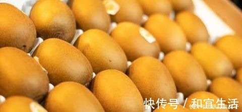 猕猴桃|猕猴桃太硬如何快速催熟学会这个小妙招,果实自然熟透香甜多汁