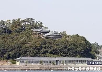 珍珠|亲临MIKIMOTO珠宝基地,揭秘顶级珍珠诞生的背后真相