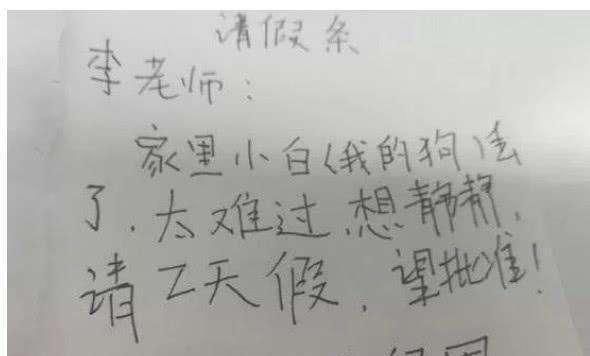 小学生的请假条，一个比一个奇葩，最后一个让老师都自愧不如