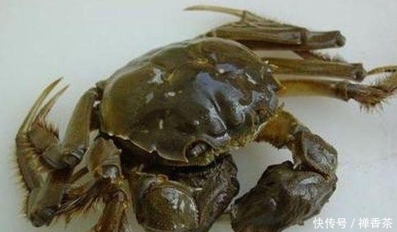 不算|一顿饭41万,到底吃了什么看完菜单后网友表示这不算“贵”