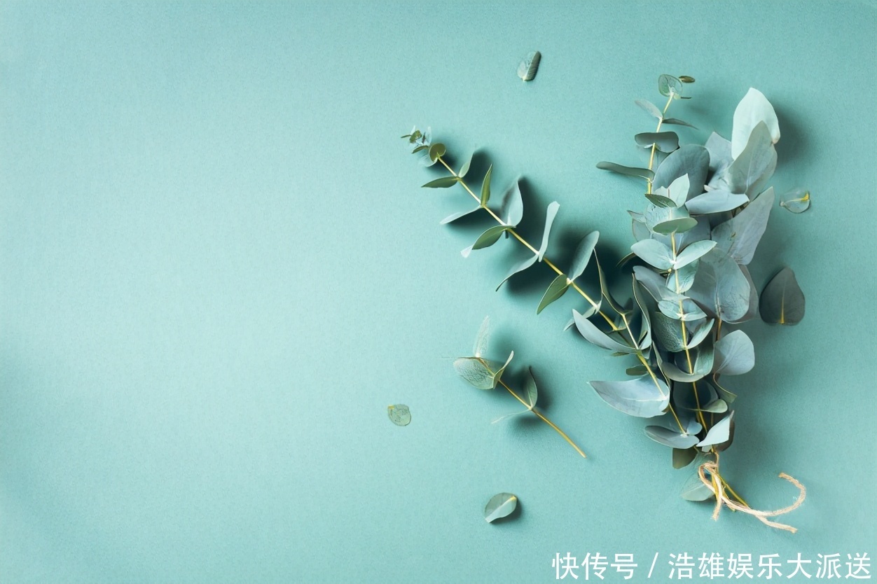 读书的女人和不读书的女人,有哪些本质的差别