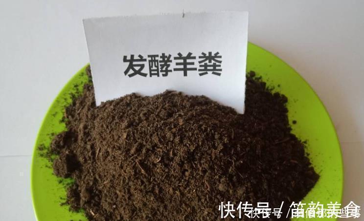 植料|羊粪当植料养花前，掌握住用量、发酵方法，养啥花都能旺