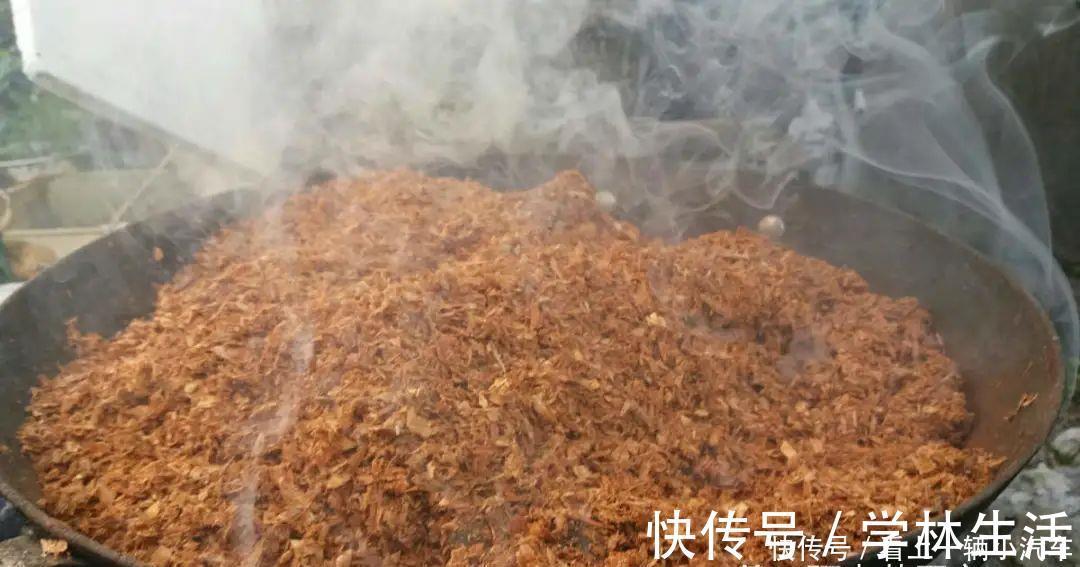 养花技巧：花盆里出现这个，抓紧换盆，不然一浇水就死翘翘