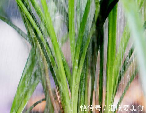 一个在路上的养兰行者，你需要不断折腾