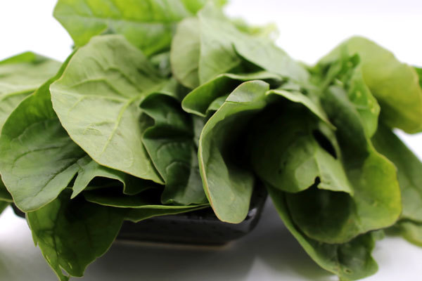 月经量少|女人月经量少，四种食物换着吃，活血化瘀，子宫变得温暖又干净